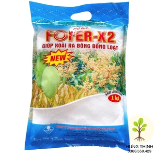 Fofer X2 Kích Thích Ra Hoa Đồng loạt Gói 1kg