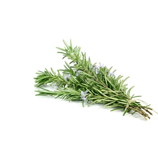 100h Hạt Giống Hương Thảo Rosemary