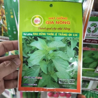 hạt lá é trắng - rau húng thơm, dễ nảy mầm (tên kh:Ocimum africanum) - É hay é trắng, húng trắng, trà tiên, tiến thực