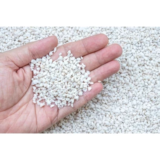 Đá perlite, đá trân chân làm giá thể trồng sen đá, kiểng lá túi 1000ml