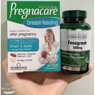 Combo lợi sữa cỏ cà ri Fenugreek và Vitamin bú Anh Pregnacare Breast-feeding