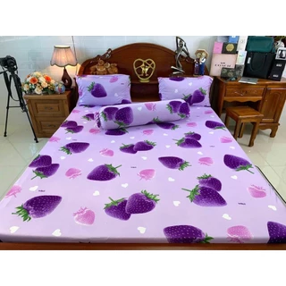 Bộ drap thun hàn quốc không mền, 4 món