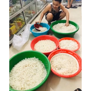 hạt đác tươi 1kg tây mỗ hnoi