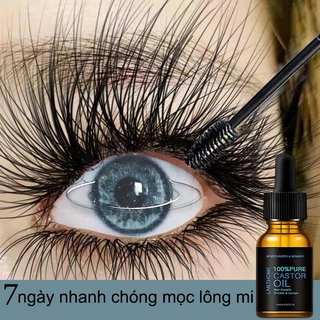 ⚡ GÌ CŨNG RẺ ⚡Dưỡng Lông Mi Serum lông mi kích mọc râu lông mi Tinh Dầu Dưỡng Lông Mi Giúp Mọc Dài DàyL