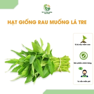 Hạt giống Rau Muống Dễ Trồng, Năng Suất Cao Gói 100 Gram