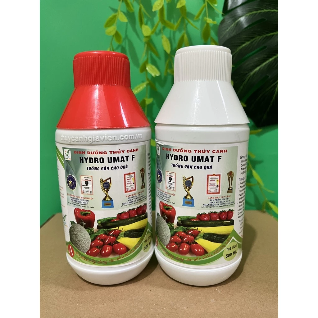 Dung dịch dinh dưỡng thủy canh Hydro Umat V&F dành cho rau trồng thủy canh ăn lá và ăn quả