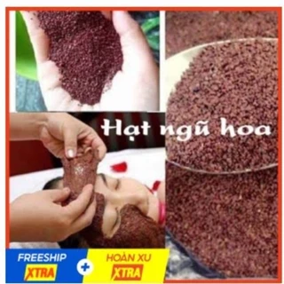 Ngũ Hoa Hạt .1Kg Mặt Nạ Ngũ Hoa  ( Hạt Ngũ Hoa, Hạt Đình Lịch, Hạt Bình Lịch, Hạt Nhũ Hoa )