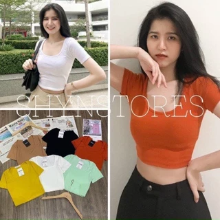 [THANH LÝ] Áo Croptop cộc tay cổ vuông vải thun zip