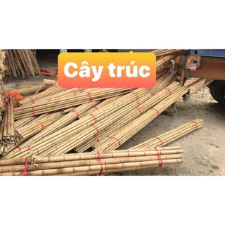 Cây tre trúc dùng trang trí, giàn leo , cán cuốc dài 1m2 thẳng đẹp