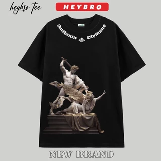 Áo thun nam nữ unisex tay lỡ form rộng Local Brand HEYBRO / AT70