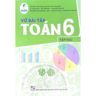 Sách - Vở Bài Tập Toán 6 Tập 2 Cánh Diều