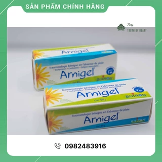 [Hàng chuẩn Pháp có bill] Gel bôi Arnigel hỗ trợ giảm đau nhức, sưng, tan bầm tím