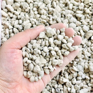 200g Đá Pumice – Chuyên trồng sen đá, xương rồng – Giá thể thoáng khí, thoát nước tốt