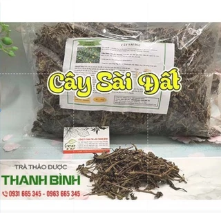 Cây Sài Đất Khô 100g - Loại 1 Chất Lượng - Thảo Dược Thanh Bình