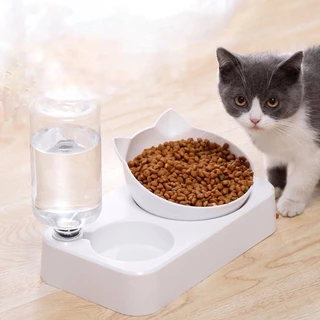 Bát ăn chống gù kèm bình nước cho mèo