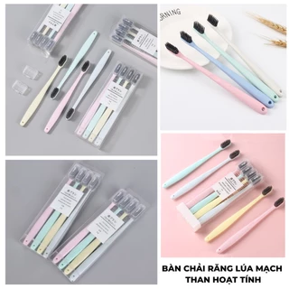 Set 4 bàn chải đánh răng lúa mạch than hoạt tính xuất Nhật