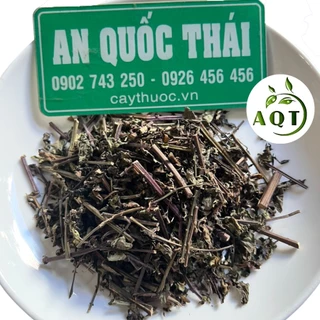 Cây Râu Mèo 100g Trừ Sỏi Thận, Thông Tiểu, Cây Râu Mèo Khô Loại 1 (Sạch, Đẹp, Thơm) Cam Kết Hàng Mới