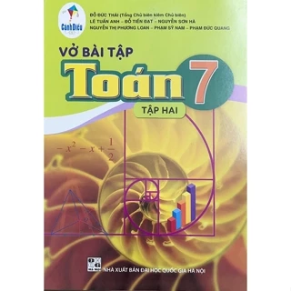 Sách - Vở Bài Tập Toán 7 Tập 2 Cánh Diều