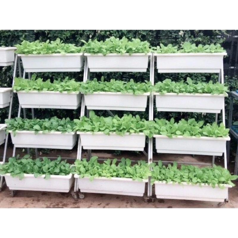 [03 chậu] Chậu nhựa thông minh hình chữ nhật 67 x 23x 19cm siêu đẹp