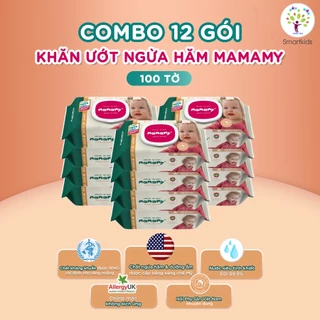 Combo 12 gói khăn ướt Mamamy 100 tờ/ gói có nắp