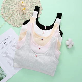 Áo Ngực Thể Thao Bằng cotton Mỏng Thoáng Khí Có Đệm Ngực Dành Cho Bạn Gái 10-18 Tuổi