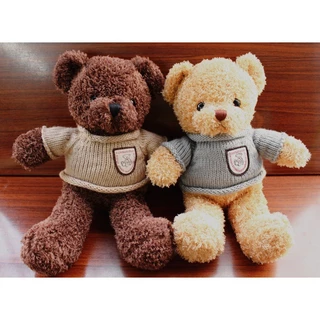 Gấu Bông Teddy Mặc Áo Thú Nhồi Bông Lông Xù Size 30cm