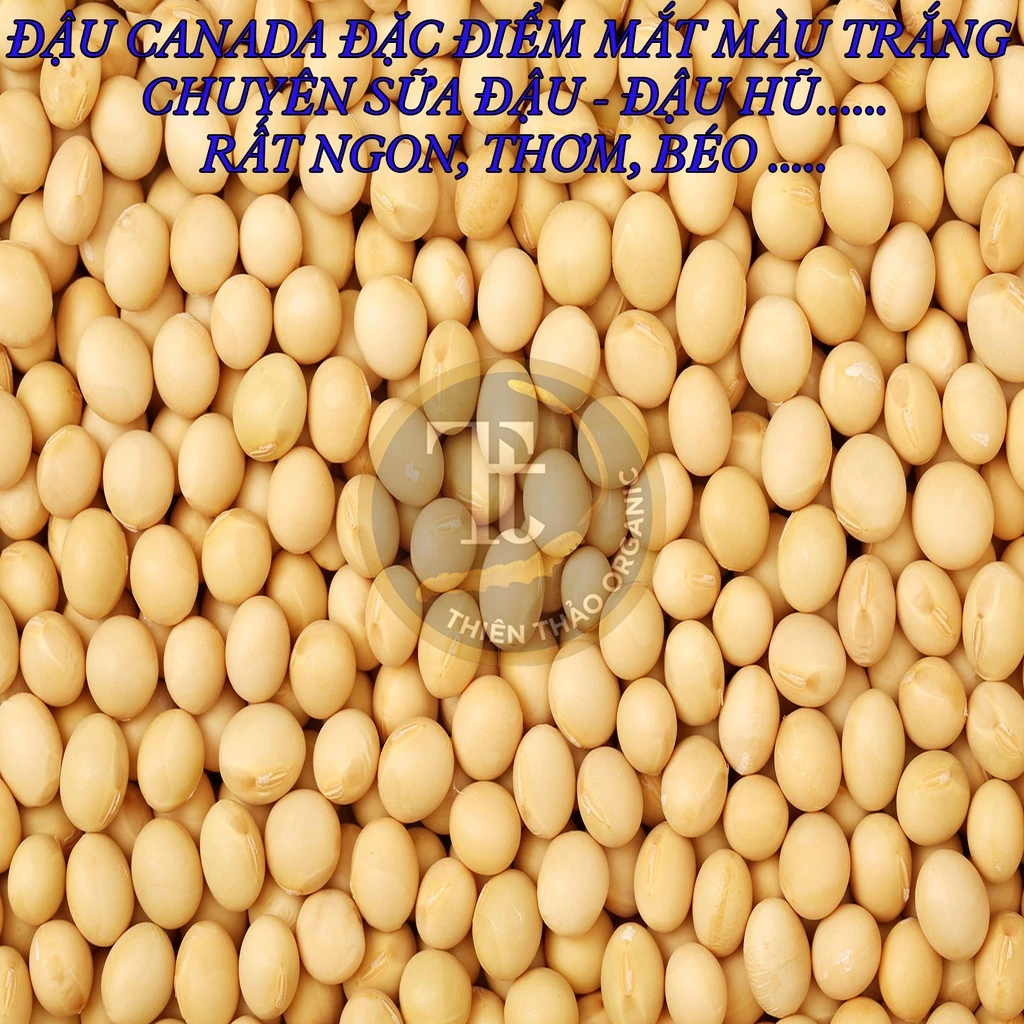 1KG ĐẬU NÀNH - ĐỖ TƯƠNG - ĐẬU TƯƠNG THUẨN CHỦNG KHÔNG BIẾN ĐỔI GEN THIÊN THẢO ORGANIC