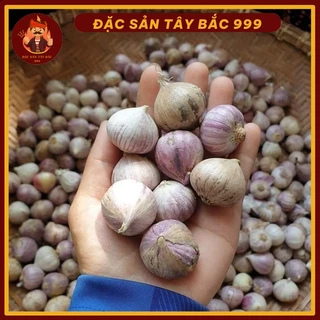 500g Tỏi Cô Đơn Loại Ngon- Đặc Sản Tây Bắc