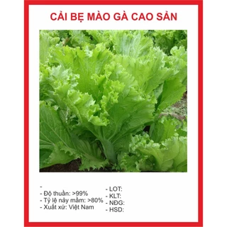 Hạt giống Cải Mào Gà (20g)