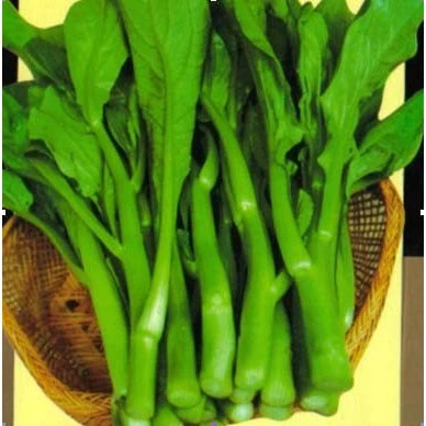 5GR Hạt giống rau cải ngồng xanh -SHOP QUỲNH NGA