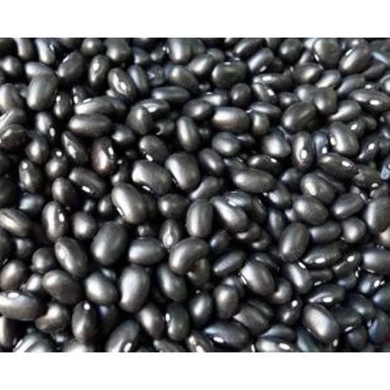 Đậu đen - đỗ đen thuần chủng không biến đổi gen 500gr HCM