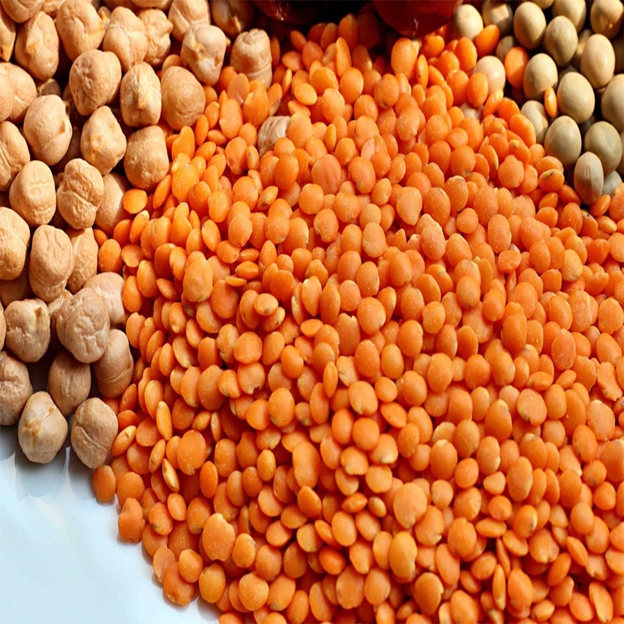 COMBO 2kg Đậu lăng đỏ (Red Lentils) Canada hữu cơ rất tốt cho sức khoẻ Thiên Thảo Organic