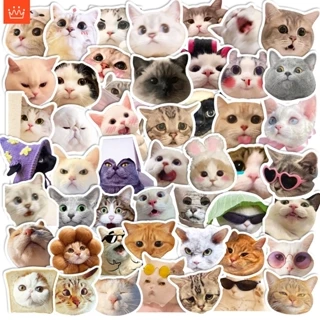 J· Hình Dán Chống Nước Biểu Tượng Cảm Xúc Cat Meme Phim Hoạt Hình Mũ Bảo Hiểm Máy Tính Xách Tay Hành Lý Dán Thiết Lập, 50 tờ