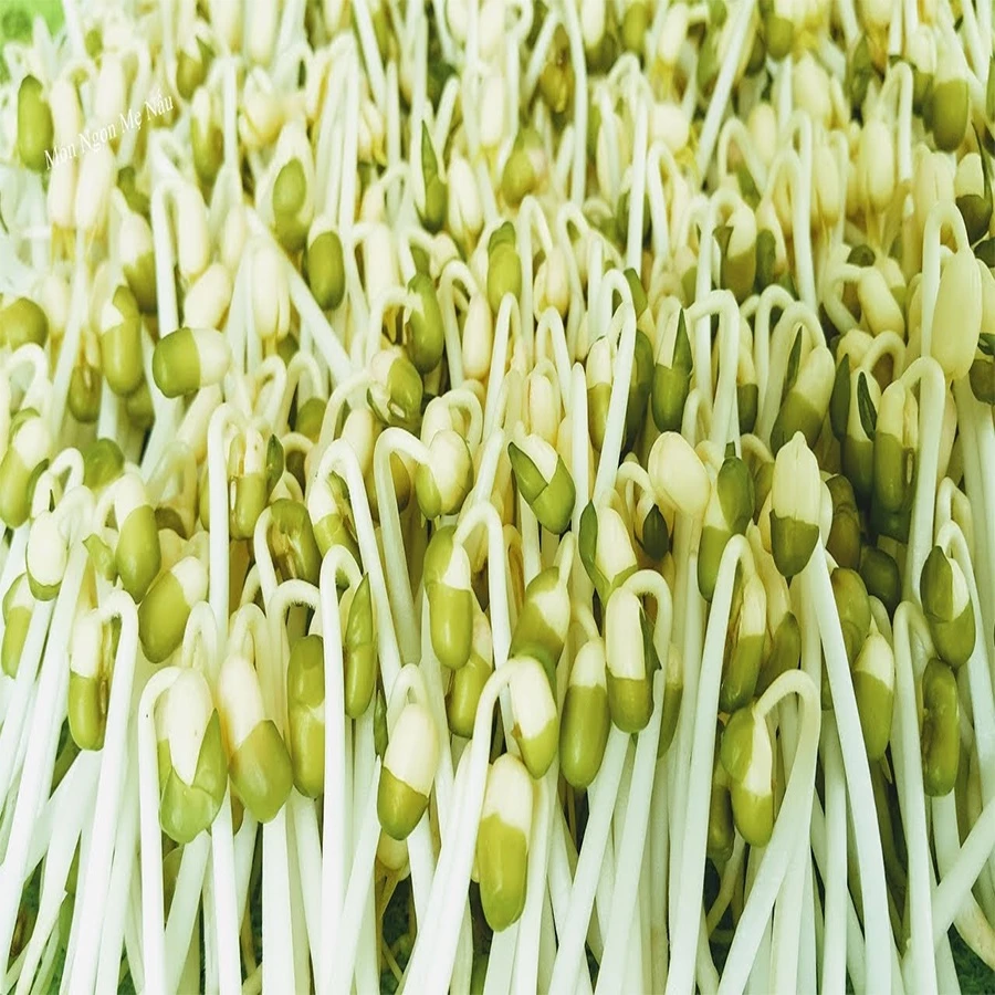 Đậu xanh chuyên làm giá 200gr (hạt nhỏ) tỉ lệ nảy mầm 100% Thiên Thảo Organic