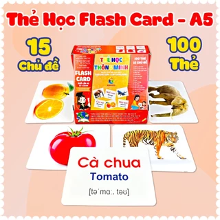 100 Thẻ Học Kích Thước Lớn 15x21cm Hình Ảnh Minh Họa Song Ngữ Anh Việt Cho Bé