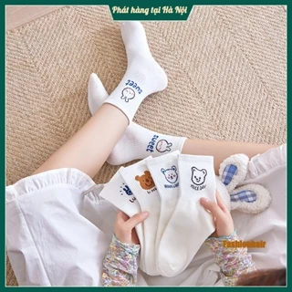 Tất Cổ Cao Nữ Họa Tiết Cute, Vớ Nữ Chất Liệu Vải Cotton Co Giãn Bốn Chiều 2023