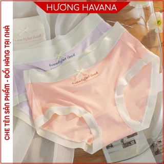 Quần lót nữ cotton mịn co giãn cao màu đẹp Havana FLQ211