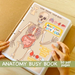 Học liệu bóc dán Montessori - Bộ cơ thể người-Anatomy busy book-matching book-quiet book- học liệu cho bé