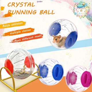 Lyndon sport ball nhựa trong suốt chạy gerbil hamster grounder