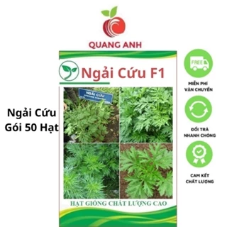 Hạt Giống Rau Ngải Cứu F1 - Ngải Cứu 4 Mùa Phát Triển - Gói 50 Hạt