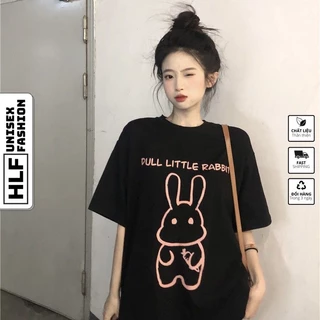 Áo thun nữ tay lỡ form rộng Thỏ Dull Little Rabbit, áo phông HLFashion