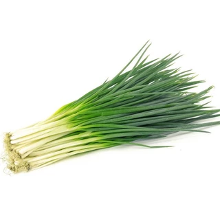 Seeds green onions (scallions) easy to plant, growing good, plant food disposable all year 