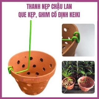 Thanh Nẹp Chậu Lan, Que kẹp, Ghim Cố Định Kie Siêu Tiện Lợi Dùng Cho Hoa Lan, Cây Cảnh - 10x17cm