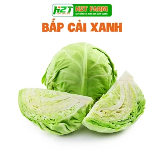 Hạt giống Bắp Cải Xanh chịu nhiệt tốt, năng suất cao, trồng quanh năm - H2T FARM