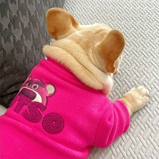 Dâu Gấu Cừu Lông Cừu Tiếng Anh Pháp Chiến Đấu Teddy Bulldog Pug Béo Chó Áo Len Quần Áo Lông Cừu Dễ Thương Lót Dày Mùa Đông