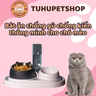 Bát ăn chống gù chống kiến thông minh cho chó mèo, có thể tháo rời, kèm bình nước tự động thông minh