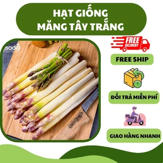 Hạt giống măng tây trắng (20 hạt) - giòn ngọt, thơm ngon