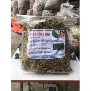 cây thông đất khô 1kg