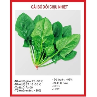 Hạt giống rau cải bó xôi (10 gram) - vị ngọt thanh, nhiều dinh dưỡng