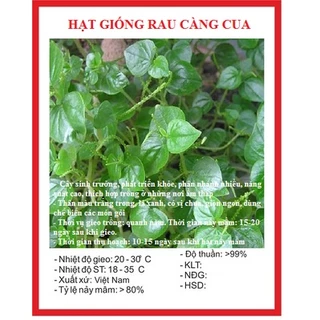 Hạt giống rau càng cua (0.5 gram) - nhiều dinh dưỡng, chế biến ngon